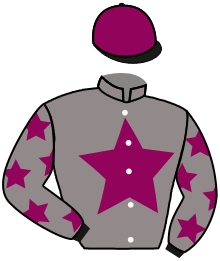 casaque portée par Mingant M. jockey du cheval de course ZELIE, information pmu ZETURF