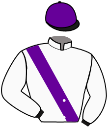casaque portée par Orani Ant. jockey du cheval de course VEULES, information pmu ZETURF