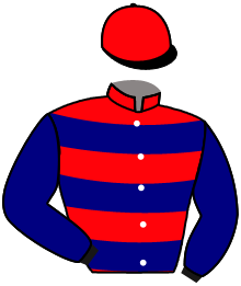 casaque portée par Bachelot T. jockey du cheval de course UN PTI TRUC ENPLUS, information pmu ZETURF