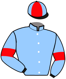 casaque portée par Bertin Lil. jockey du cheval de course LADY DE NEUVY, information pmu ZETURF