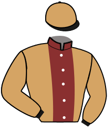 casaque portée par Raffin E. jockey du cheval de course LEVITE, information pmu ZETURF