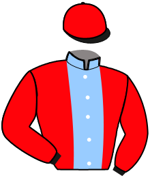 casaque portée par Lagadeuc F. jockey du cheval de course ILLEGITIME PRINCE, information pmu ZETURF