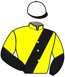 casaque portée par Rochard B. jockey du cheval de course GREAT ROCK, information pmu ZETURF