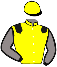 casaque portée par D' Andigne O. jockey du cheval de course DJHANSY, information pmu ZETURF
