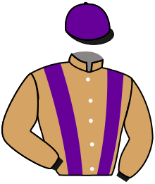 casaque portée par Roussel Leo jockey du cheval de course EQUUS VINCIT, information pmu ZETURF