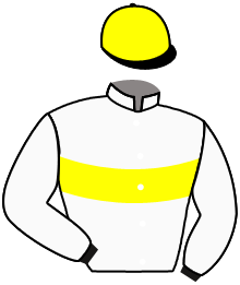 casaque portée par Pasquier S. jockey du cheval de course SOLEDAD, information pmu ZETURF