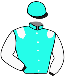 casaque portée par Demuro C. jockey du cheval de course ST ELVIRA, information pmu ZETURF