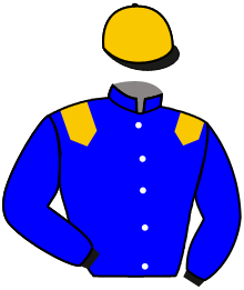 casaque portée par Guyon M. jockey du cheval de course JUGANDO, information pmu ZETURF