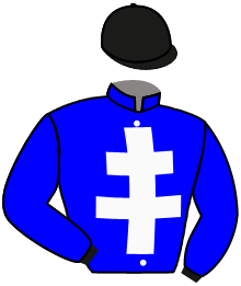 casaque portée par Barille Y. jockey du cheval de course LOVE TOO, information pmu ZETURF
