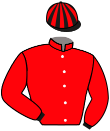casaque portée par Chesneau A. jockey du cheval de course LULLY DU HUTREL, information pmu ZETURF