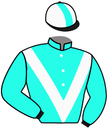 casaque portée par Crastus A. jockey du cheval de course NICLAS, information pmu ZETURF