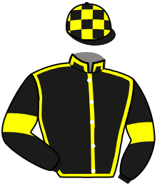 casaque portée par Gandre J. C. jockey du cheval de course KING JIGANAYS, information pmu ZETURF