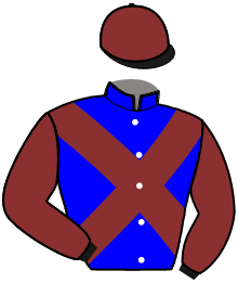 casaque portée par Chauve-laffay H. jockey du cheval de course JASMIN DE LARRE, information pmu ZETURF