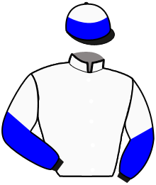 casaque portée par Lagadeuc F. jockey du cheval de course GIGLIO DEGLI DEI, information pmu ZETURF