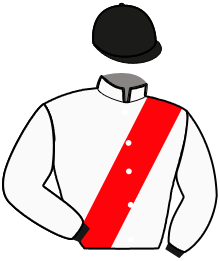 casaque portée par Bonne D. jockey du cheval de course KAROLENE D'ETANG, information pmu ZETURF