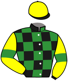 casaque portée par Raffin E. jockey du cheval de course KIMMERIDGIENNE, information pmu ZETURF