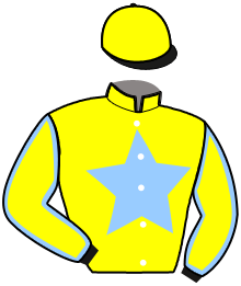casaque portée par Lamy A. jockey du cheval de course MARIT MARIANNE, information pmu ZETURF