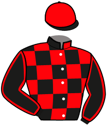 casaque portée par Verneuil Q. B. jockey du cheval de course JISMIE GRIFF, information pmu ZETURF
