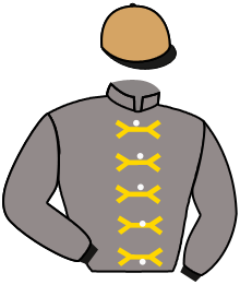 casaque portée par Veron F. jockey du cheval de course AL THEEB, information pmu ZETURF