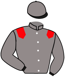 casaque portée par Trolley De Prevaux G. jockey du cheval de course O GRE DES SAISONS, information pmu ZETURF