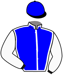 casaque portée par Gabin Seigneul jockey du cheval de course ORAISON, information pmu ZETURF