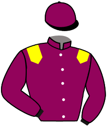 casaque portée par Demuro C. jockey du cheval de course TOP TOWN TELL TALE, information pmu ZETURF