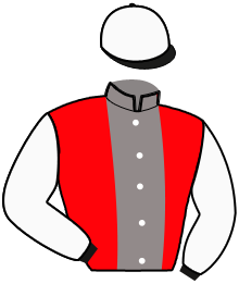 casaque portée par Gelormini G. jockey du cheval de course GORDON MIJACK, information pmu ZETURF
