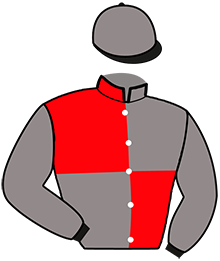 casaque portée par Bridault M. jockey du cheval de course HOOKER DU PECH, information pmu ZETURF