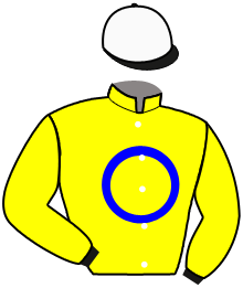 casaque portée par Neirinck Ado. jockey du cheval de course GAVROCHE D'IDEE, information pmu ZETURF