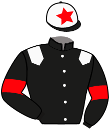 casaque portée par Rochard B. jockey du cheval de course MISTER PARKER, information pmu ZETURF