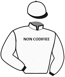 casaque portée par Rochard B. jockey du cheval de course PURPLE RAIN, information pmu ZETURF