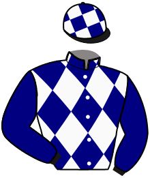 casaque portée par Desmigneux F. jockey du cheval de course INTENSE DES VAUX, information pmu ZETURF