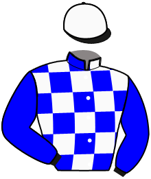casaque portée par Moes M. jockey du cheval de course NEVELE HALL GRAUX, information pmu ZETURF