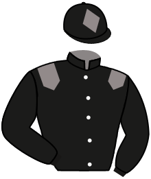 casaque portée par Pasquier S. jockey du cheval de course TOLLARD ROYAL, information pmu ZETURF