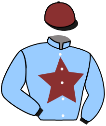 casaque portée par Guyon M. jockey du cheval de course NARCOS, information pmu ZETURF