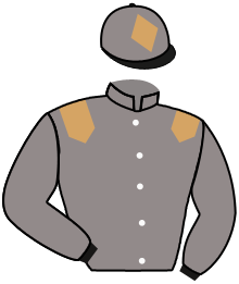 casaque portée par Crastus A. jockey du cheval de course STRAKO, information pmu ZETURF