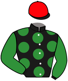 casaque portée par Izzo M. jockey du cheval de course KANELLE STAR, information pmu ZETURF