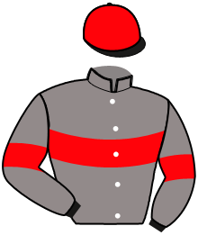 casaque portée par Sionneau H. jockey du cheval de course KAIROUAN GLAM, information pmu ZETURF