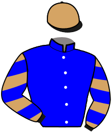 casaque portée par Gence F. jockey du cheval de course JUSTE DU GERS, information pmu ZETURF