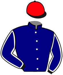 casaque portée par Audebert E. jockey du cheval de course JOSEPHA CHOUP, information pmu ZETURF
