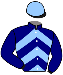 casaque portée par Lepage E. jockey du cheval de course LOVE DU PASSAGE, information pmu ZETURF