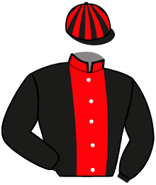 casaque portée par Legros L. J. jockey du cheval de course LADY DU COUDOU, information pmu ZETURF