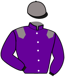 casaque portée par Pojasek R. jockey du cheval de course MY DARLING DU RIS, information pmu ZETURF