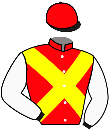 casaque portée par Janacek V. jockey du cheval de course TRADE HONOR, information pmu ZETURF