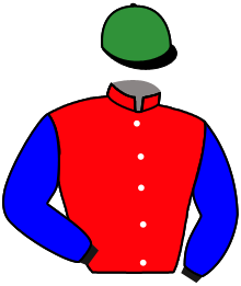 casaque portée par Raimbault C. jockey du cheval de course ERIDITA DOVER, information pmu ZETURF