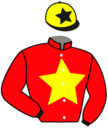 casaque portée par Brechet Léo P. jockey du cheval de course ZELZARI, information pmu ZETURF