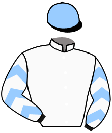 casaque portée par Plommee Léo. jockey du cheval de course TARTE AUX PRUNES, information pmu ZETURF