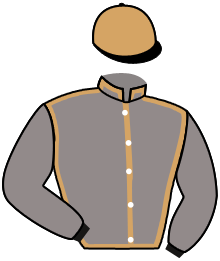 casaque portée par Veron F. jockey du cheval de course BEST NIGHT, information pmu ZETURF