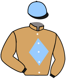 casaque portée par Chesneau A. jockey du cheval de course MADAME LE MAIRE, information pmu ZETURF