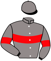 casaque portée par Meunier E. jockey du cheval de course SIRLIGHT, information pmu ZETURF